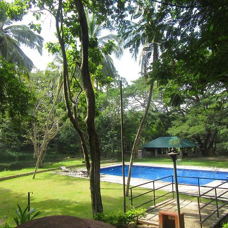 Dambulu Oya Family Park Hotel Dambulla Luaran gambar