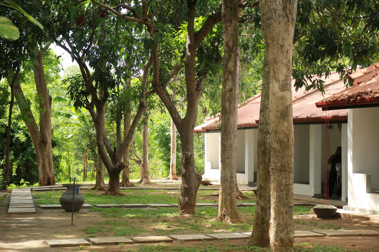 Dambulu Oya Family Park Hotel Dambulla Luaran gambar