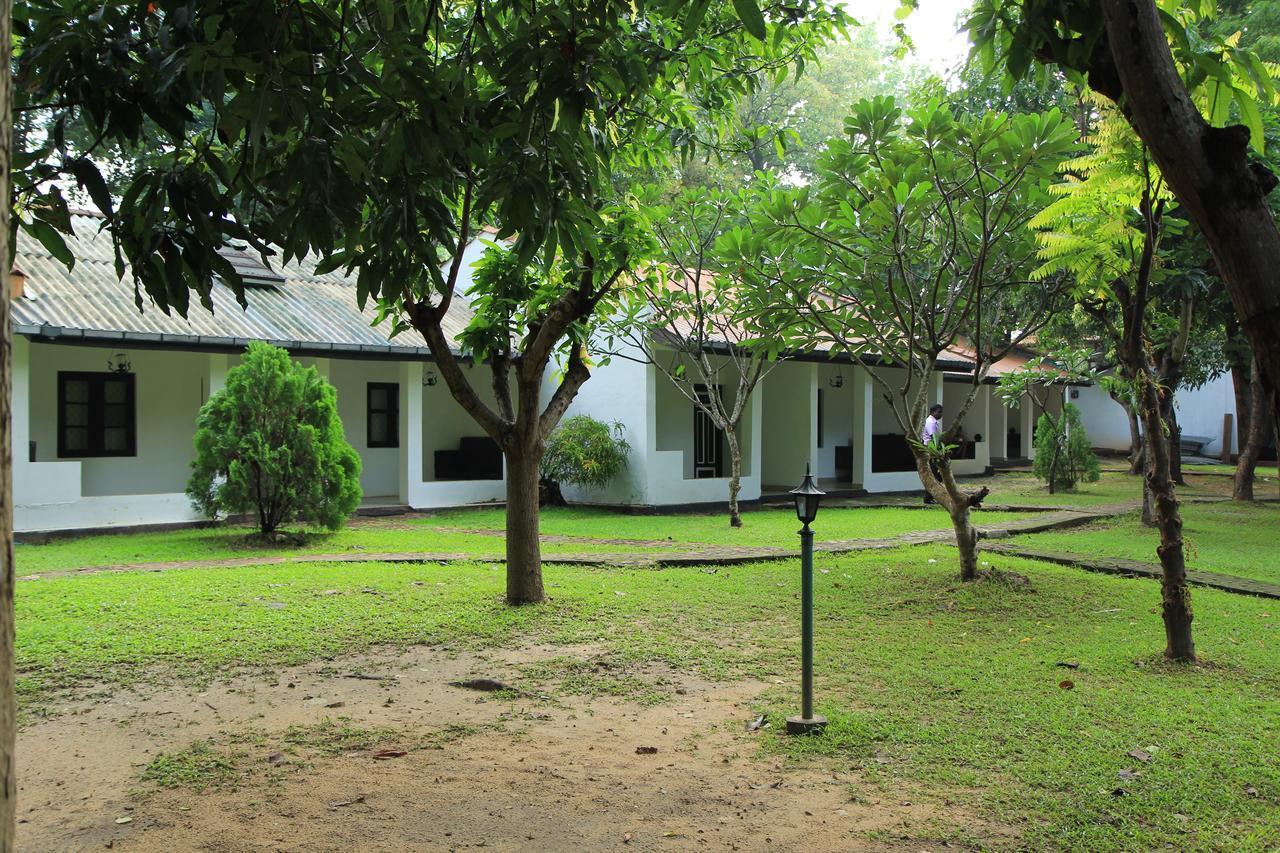 Dambulu Oya Family Park Hotel Dambulla Luaran gambar
