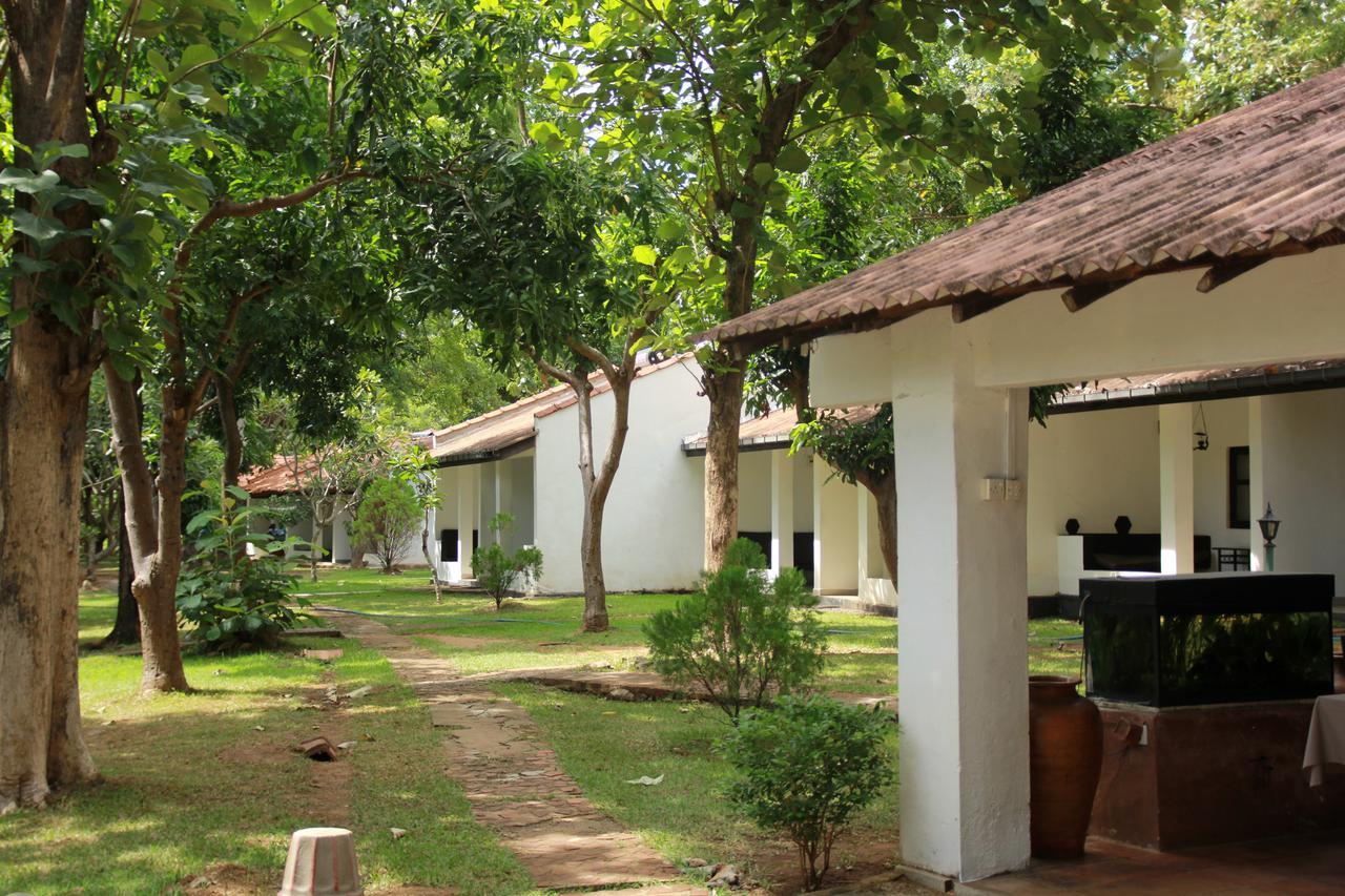 Dambulu Oya Family Park Hotel Dambulla Luaran gambar
