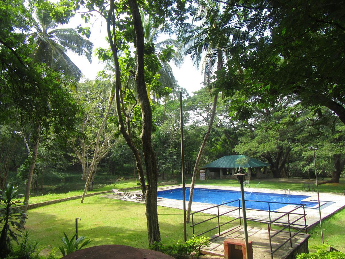 Dambulu Oya Family Park Hotel Dambulla Luaran gambar