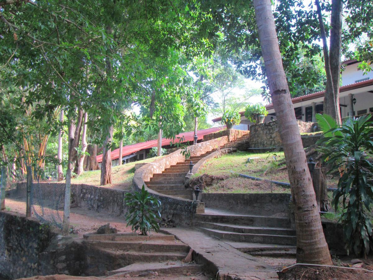 Dambulu Oya Family Park Hotel Dambulla Luaran gambar