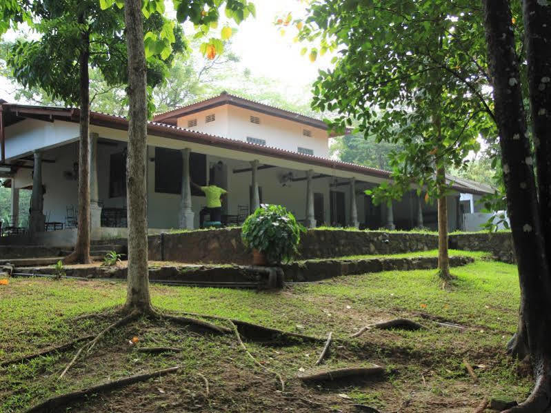 Dambulu Oya Family Park Hotel Dambulla Luaran gambar