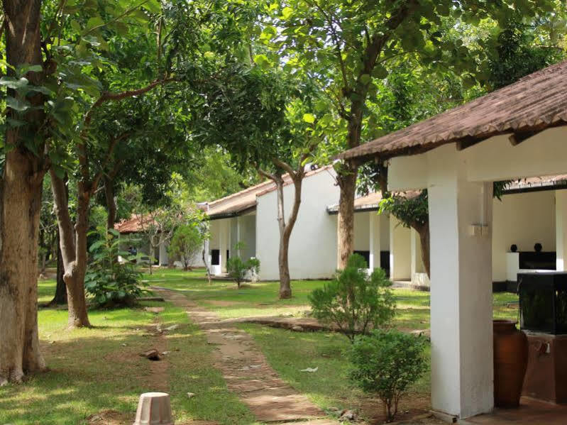 Dambulu Oya Family Park Hotel Dambulla Luaran gambar