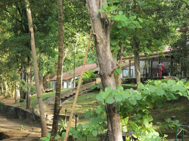 Dambulu Oya Family Park Hotel Dambulla Luaran gambar