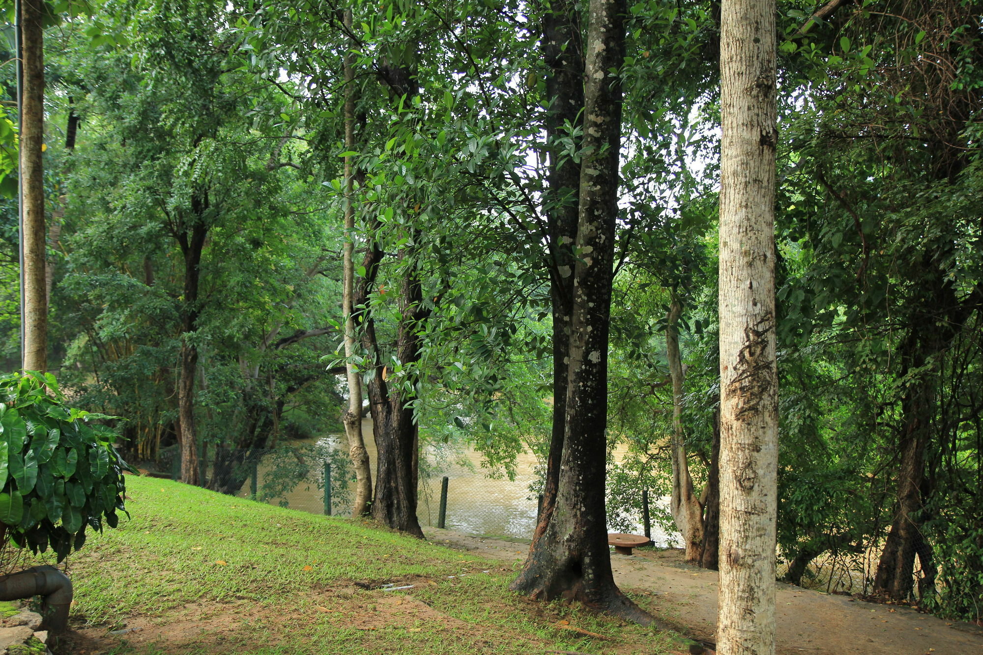 Dambulu Oya Family Park Hotel Dambulla Luaran gambar
