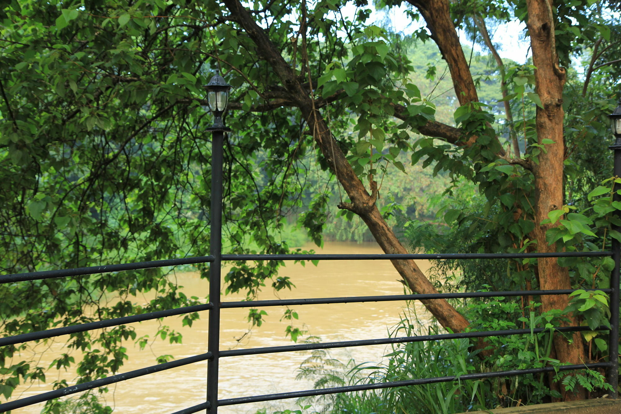 Dambulu Oya Family Park Hotel Dambulla Luaran gambar