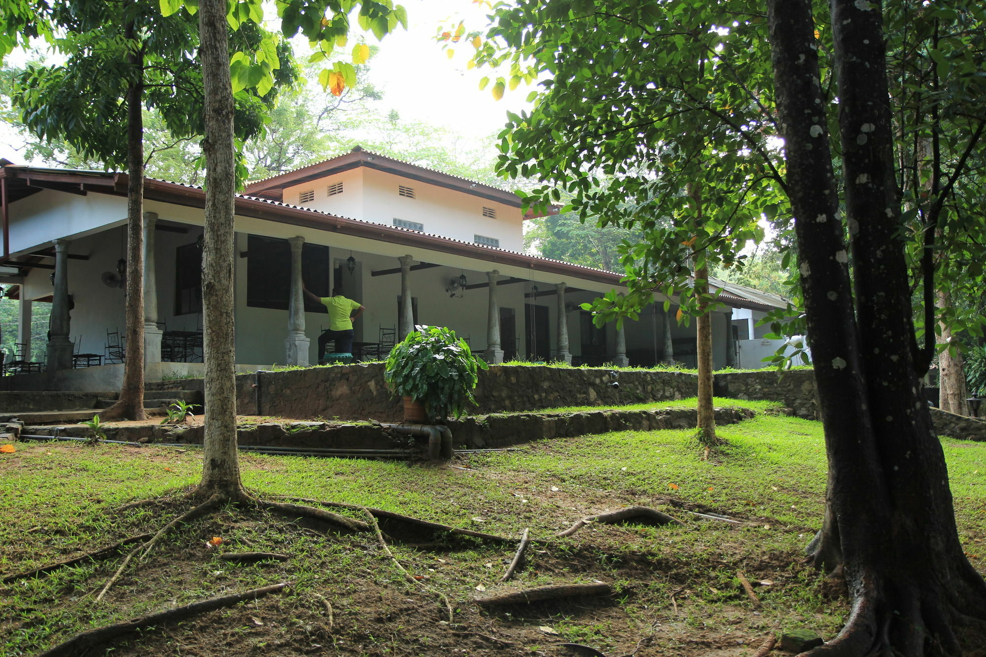 Dambulu Oya Family Park Hotel Dambulla Luaran gambar