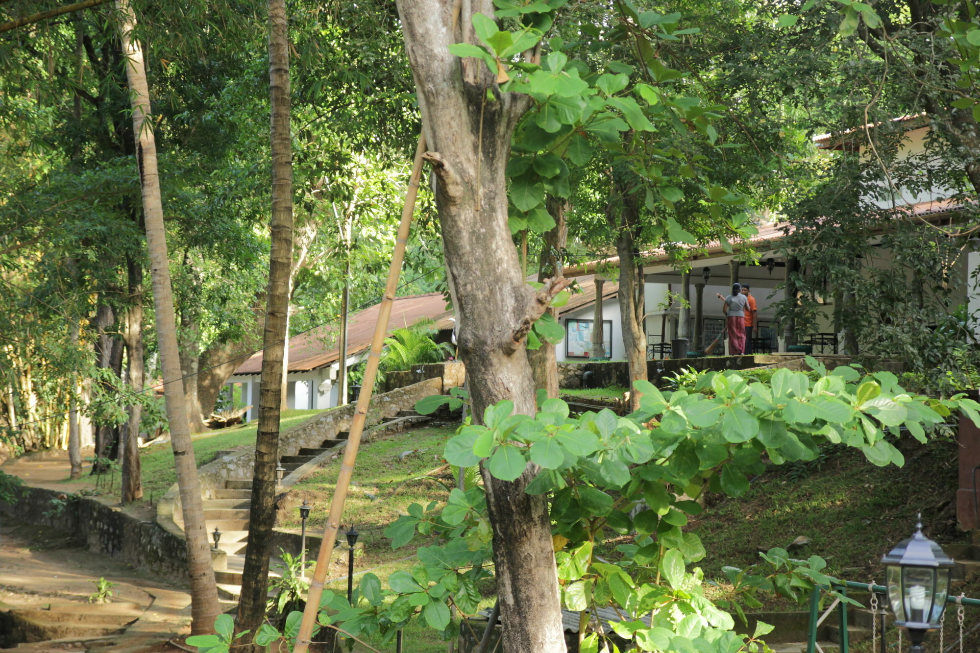 Dambulu Oya Family Park Hotel Dambulla Luaran gambar