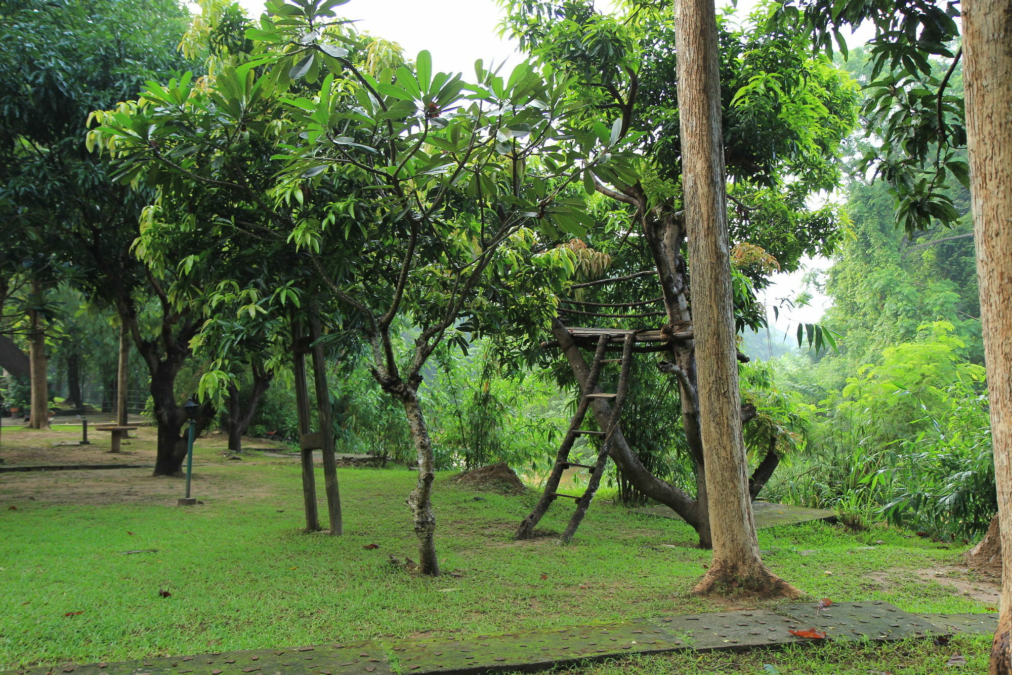 Dambulu Oya Family Park Hotel Dambulla Luaran gambar